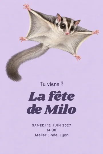 Invitation avec le modèle Plane avec moi